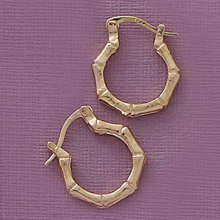 Puffed Small Bamboo  Earrings - X2464